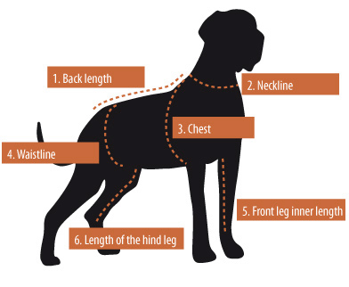 Step By Step Dog Measurement Diagram